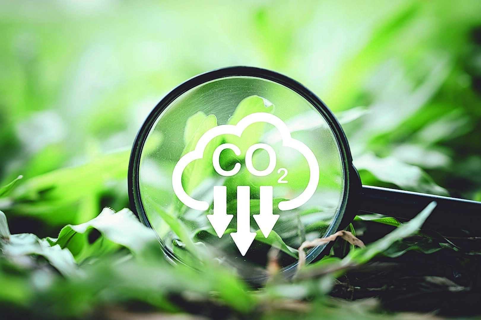 Eine Lupe über grünem Gras zeigt eine Wolke mit der Aufschrift „CO₂“ und nach unten zeigenden Pfeilen, die für die Reduzierung von Kohlendioxid oder ökologische Nachhaltigkeit stehen.