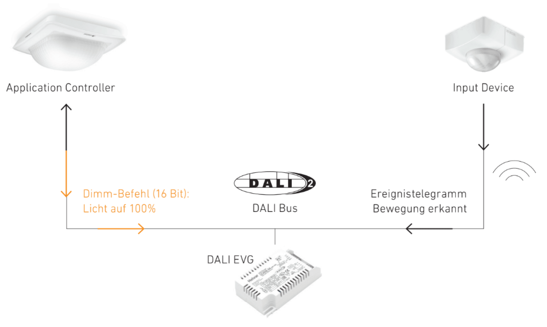 Schematische Darstellung eines DALI2-Beleuchtungssystems mit einem Anwendungscontroller, einem Eingabegerät, einem Bus, einem DALI-EVG sowie dem Befehlsablauf für Dimmung und Bewegungserkennung.