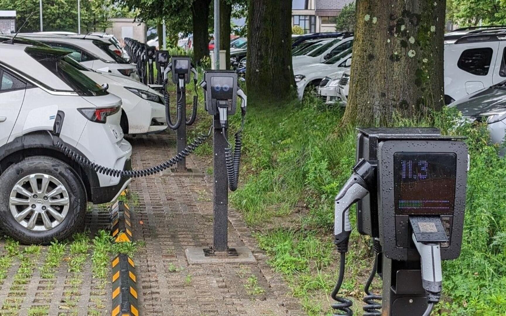 Des rangées de voitures garées à côté d'arbres, avec plusieurs stations de recharge pour véhicules électriques et des câbles de recharge connectés au bord du parking. Certaines stations de recharge sont mouillées par la pluie.
