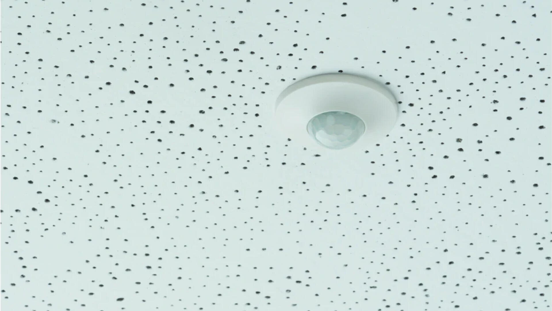 An einer weißen Decke ist ein Bewegungssensor mit einem Gitter aus kleinen schwarzen Punkten angebracht, die ein gesprenkeltes Muster auf der Oberfläche erzeugen.